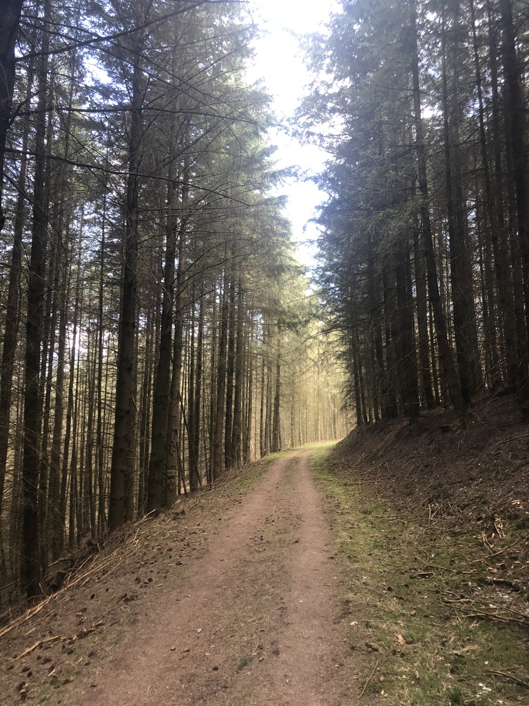 UNADJUSTEDNONRAW_thumb_4b157