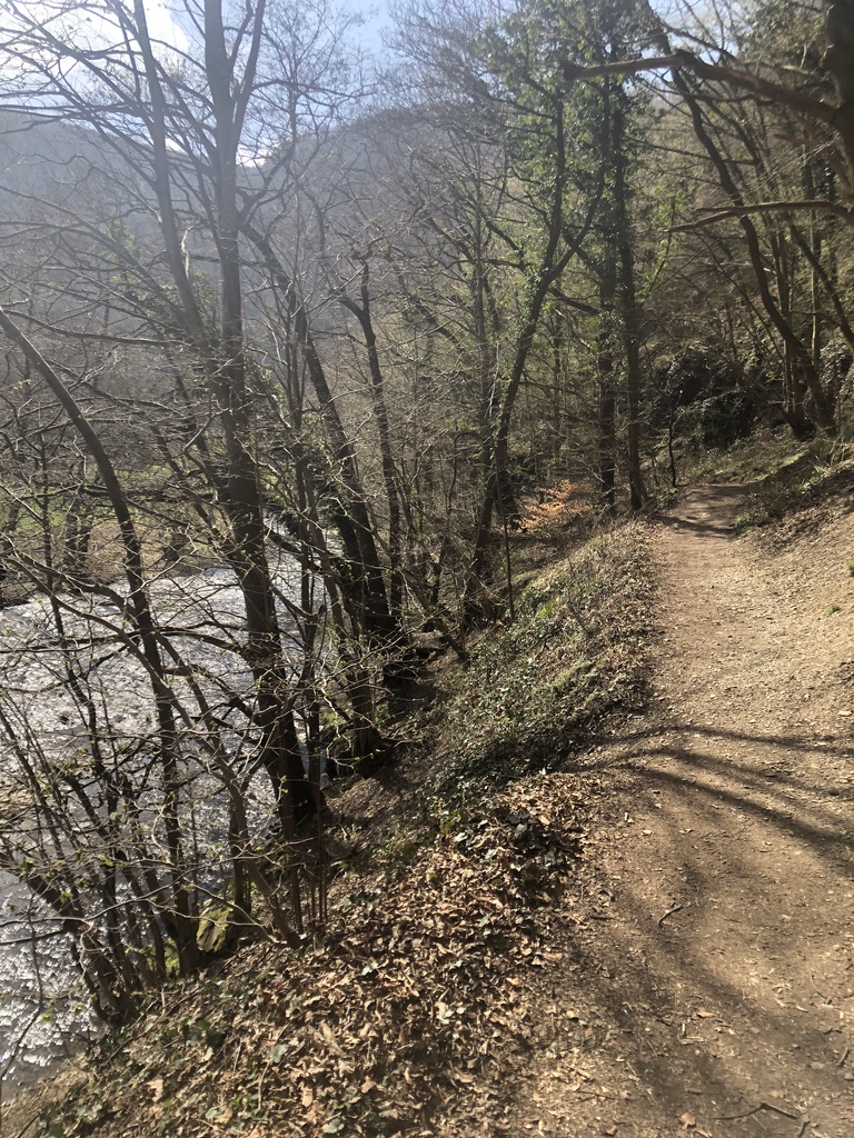 UNADJUSTEDNONRAW_thumb_4b1c6