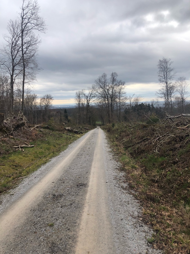 UNADJUSTEDNONRAW_thumb_4b292