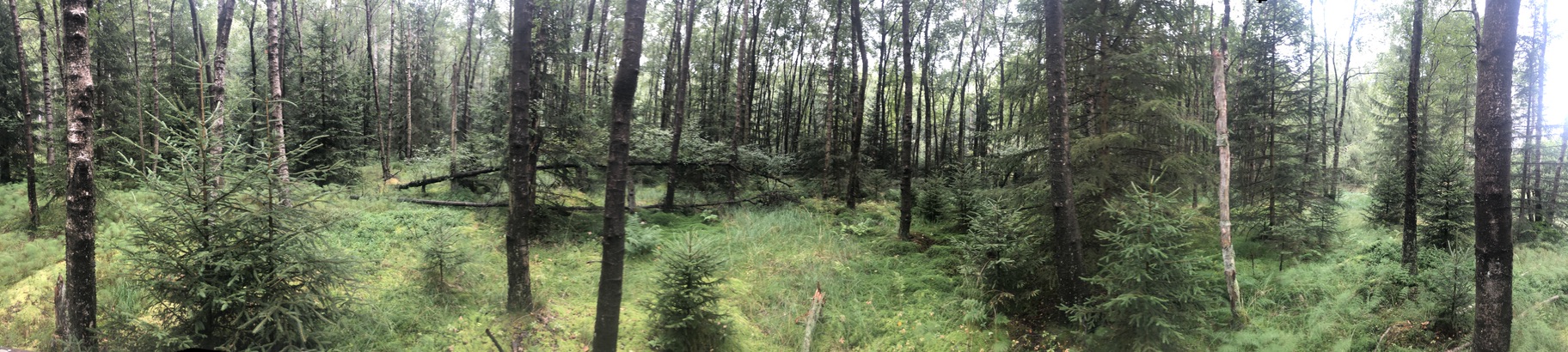 UNADJUSTEDNONRAW_thumb_3a5bc