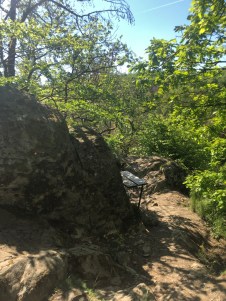 UNADJUSTEDNONRAW_thumb_4bf6e