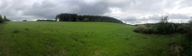 UNADJUSTEDNONRAW_thumb_4ba44