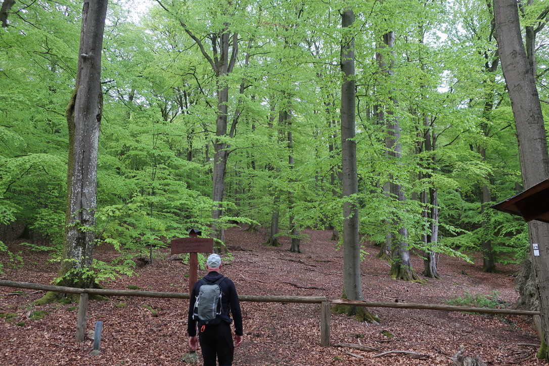 UNADJUSTEDNONRAW_thumb_4bb32