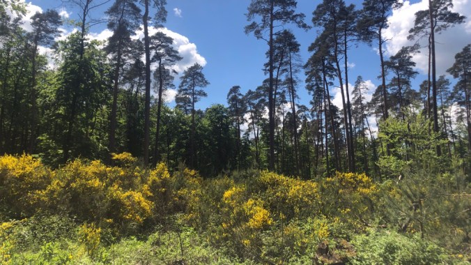 UNADJUSTEDNONRAW_thumb_4bef5