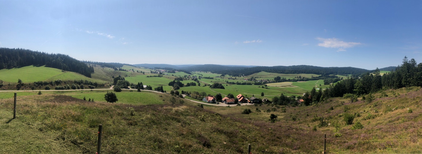 UNADJUSTEDNONRAW_thumb_4c935