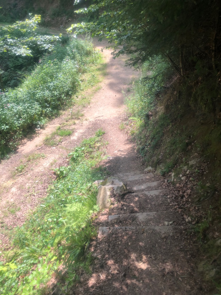 UNADJUSTEDNONRAW_thumb_4cb05