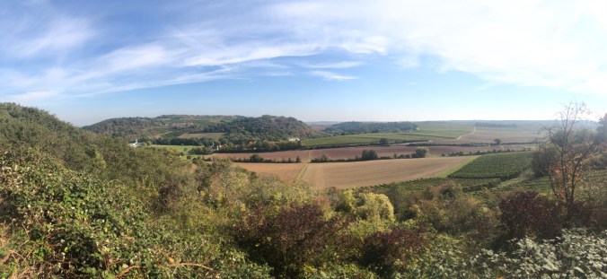 UNADJUSTEDNONRAW_thumb_50037