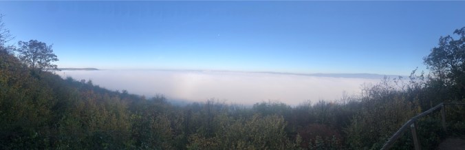 UNADJUSTEDNONRAW_thumb_508df