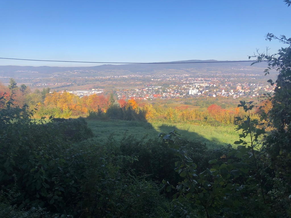 UNADJUSTEDNONRAW_thumb_50910