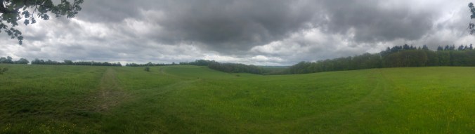 UNADJUSTEDNONRAW_thumb_4bdbd