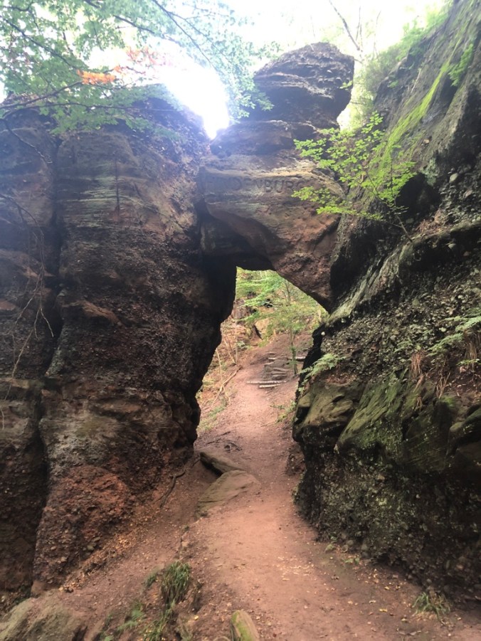 UNADJUSTEDNONRAW_thumb_4cf52