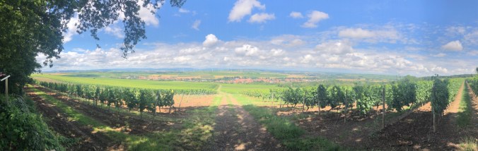 UNADJUSTEDNONRAW_thumb_4c7aa