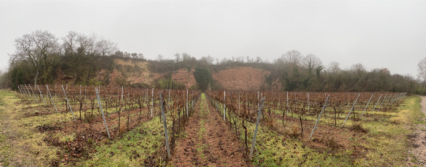 UNADJUSTEDNONRAW_thumb_50e6e