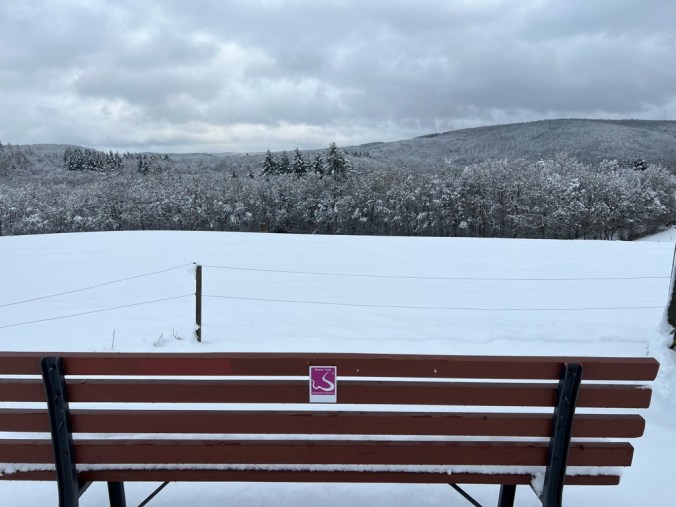 UNADJUSTEDNONRAW_thumb_517a2