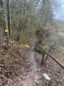 UNADJUSTEDNONRAW_thumb_51c8d