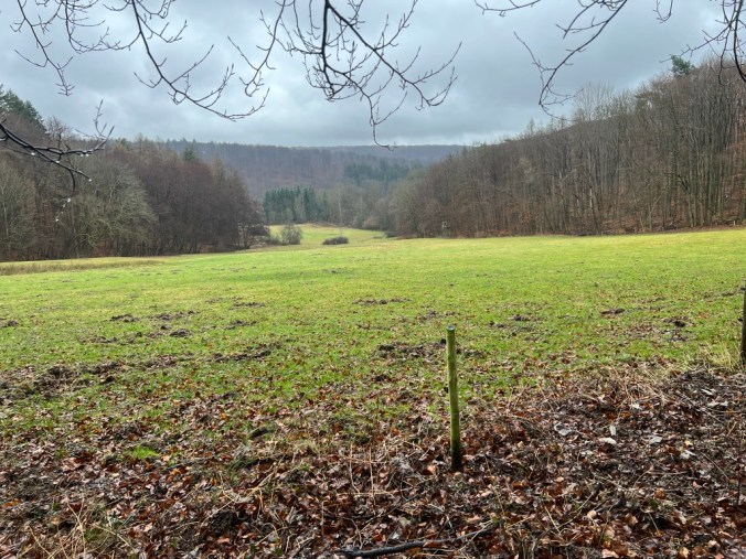 UNADJUSTEDNONRAW_thumb_51c97